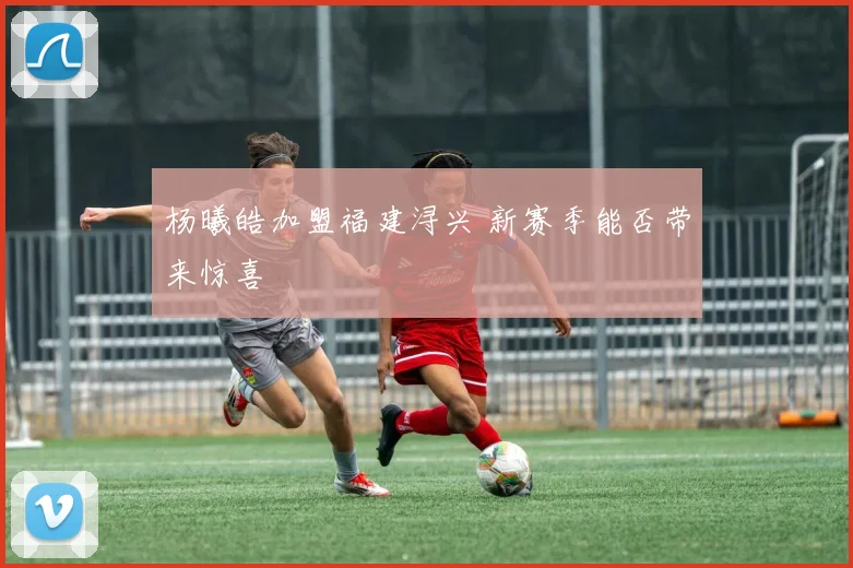 杨曦皓加盟福建浔兴 新赛季能否带来惊喜