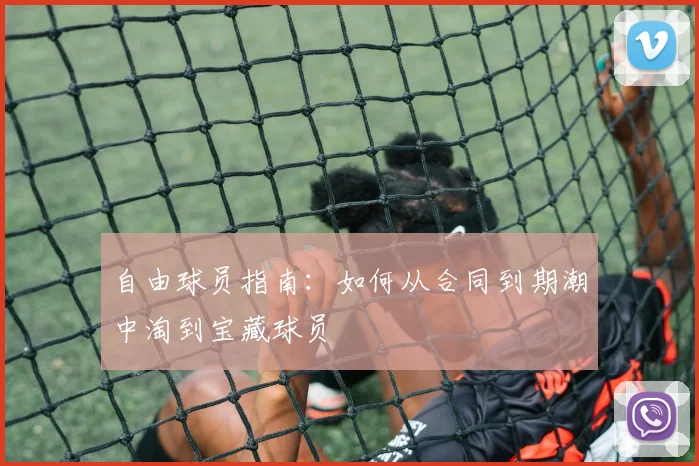 自由球员指南：如何从合同到期潮中淘到宝藏球员