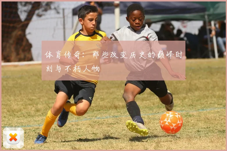 体育传奇：那些改变历史的巅峰时刻与不朽人物
