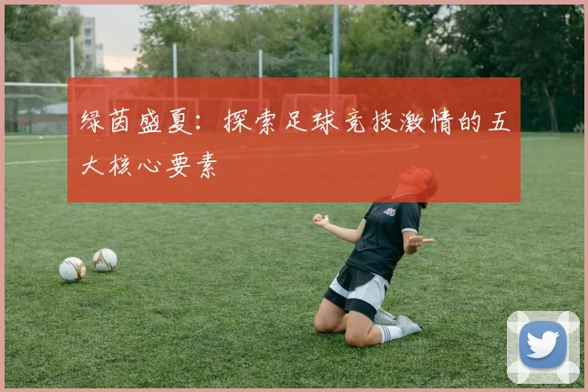 绿茵盛夏：探索足球竞技激情的五大核心要素